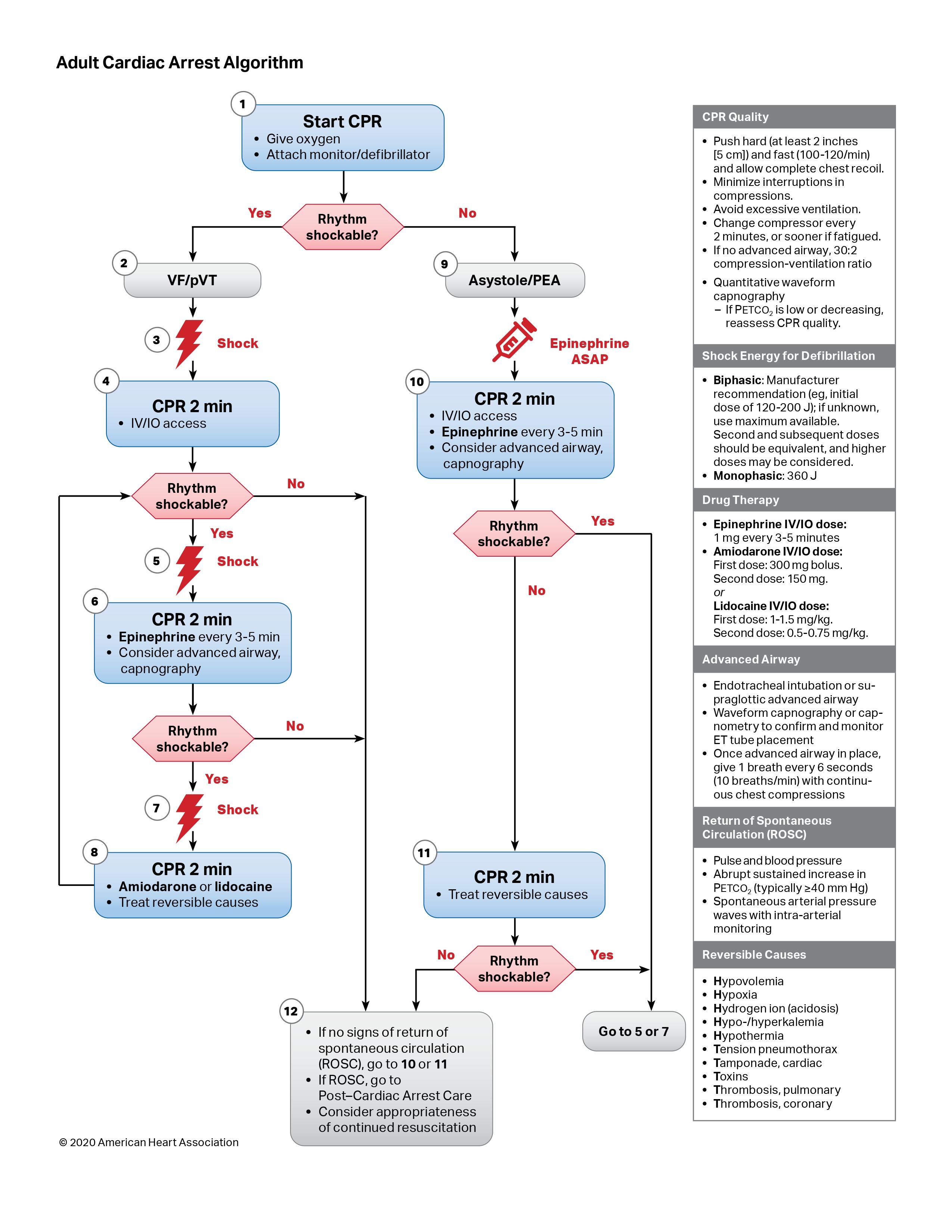 ACLS Cardiac Arrest Algorithm