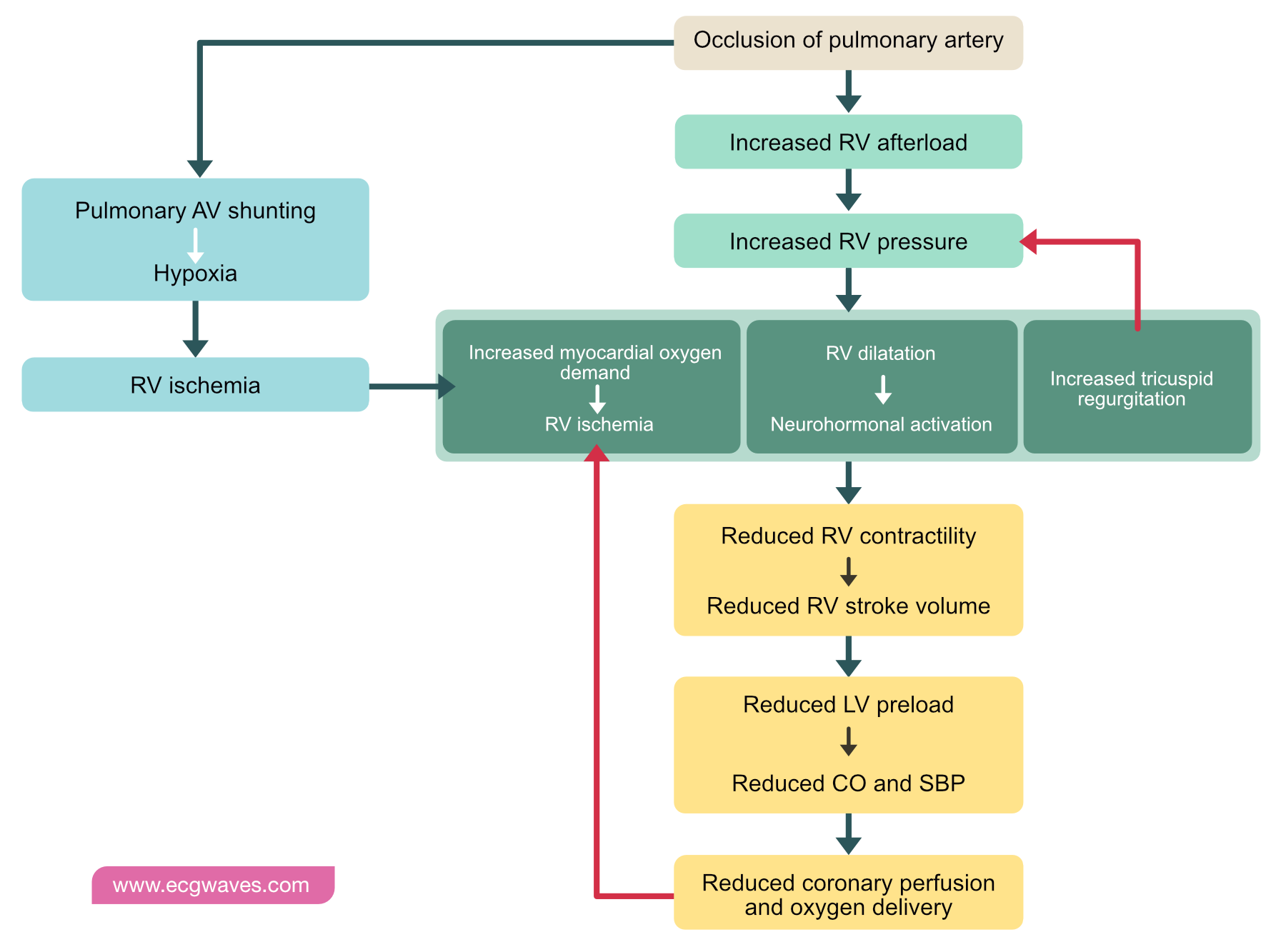 PE Mechanism